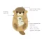 INFANTINO นากวัดอุณหภูมิในน้ำ Otter Temperature (0m+)