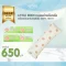 LITTLE EDEN หมอนข้างดันหลัง พร้อมปลอกหมอนใยไผ่ 100% (0m+)