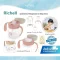Richell T.L.I. Cup Set แก้วหัดดูดหลอด 3 Step สำหรับเด็ก 5 เดือนขึ้นไป