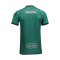 2025-26 SINGHA Chiang Rai United FC Thailand Football Soccer League Jersey Shirt Third Green - Player Version