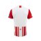 2023 - 2024 Bangkok FC Authentic Thailand Football Soccer League Jersey Away Red White - Player Version