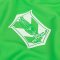 2026 BG Pathum United BGPU FC Thailand Football Soccer League Singha Jersey Shirt Green - AFC Champion League (ACL) Version