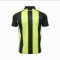 Thailand National Team Thai Football Soccer Jersey Green Shirt - Limited Edition Cheer Version
