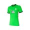 2026 BG Pathum United BGPU FC Thailand Football Soccer League Singha Jersey Shirt Green - AFC Champion League (ACL) Version