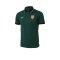 2026 - 27 Thailand National Team Thai Football Soccer Green Player Replica Jersey Shirt