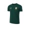 2026 - 27 Thailand National Team Thai Football Soccer Green Cheer Jersey Shirt