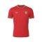 2026 - 27 Thailand National Team Thai Football Soccer Red Player Replica Jersey Shirt