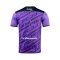 2022-23 Port FC Thailand Football Soccer League Jersey Shirt Goalkeeper Purple - Player Edition