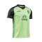 2024 -25 Buriram United Thailand Football Soccer League Jersey Shirt Away Green - AFC Champion League Elite ACL Version