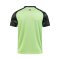 2024 -25 Buriram United Thailand Football Soccer League Jersey Shirt Away Green - AFC Champion League Elite ACL Version