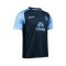 2024 -25 Buriram United Thailand Football Soccer League Jersey Shirt Home Blue - AFC Champion League Elite ACL Version
