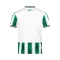 2024-25 Lampang FC Authentic Thailand Football Soccer Thai League Jersey Shirt Home Green Whiter - Player Version