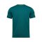2024-25 Kasetsart FC Authentic Thailand Football Soccer Thai League Jersey Away Green Shirt - Player Version