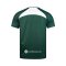 2024-25 Uthai Thani FC Thailand Football Soccer League Jersey Shirt Away Green -  Player Version