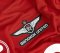2025-26 Bangkok United Thailand Football Soccer League Jersey Shirt Home Red - Player Edition
