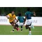 Thailand National Rugby Team Home Jersey (Thai Rugby DNA Edition) - Yellow