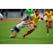 Thailand National Rugby Team Home Jersey (Thai Rugby DNA Edition) - Yellow