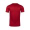 2019 Vietnam National Team Genuine Official Football Soccer Jersey Shirt Home Red - Player Version