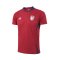 2024-25 Thailand National Team Thai Football Soccer Jersey Shirt Away Red Player Replica Edition