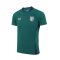 2024-25 Thailand National Team Thai Football Soccer Jersey Shirt Goalkeeper Green Player Replica Edition