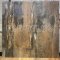 60X120 BLD- 60X120 BLD-METALLIC BRONZE MATT