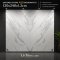 carrara_Bookmatch_A_B_ซินเตอร์สโตน__Sintered_Stone_แผ่นใหญ่_ขนาด_120x240_กระเบื้องต่อลาย.jpg