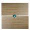 SL 60X120CM 12681 WOOD  MATT