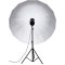 Nanlite - U-180ST Umbrella Shallow Translucent 180CM