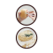 Buki France Dino Mega Egg Maxi Pack รุ่น 2138 กล่องสุ่ม ขุดหาไดโนเสาร์สุดคุ้ม 12 ฟอง