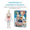 Buki France Human Body รุ่น 2163 ชุดของเล่นวิทยาศาสตร์โมเดลร่างกายมนุษย์ พร้อมอวัยวะนุ่มและโครงกระดูกเรืองแสงในที่มืด