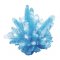 Buki France Mini Lab crystal รุ่น 3006BLU ชุดของเล่นวิทยาศาสตร์ ทดลองเพาะผลึกคริสตัล DIY สำหรับเด็ก