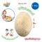 Buki France Dino Mega Egg รุ่น 2137 ไข่ไดโนเสาร์ยักษ์ ขุดค้นฟอสซิล 4 แบบ โมเดล 3D Dinosaur Puzzle