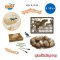 Buki France Dino Mega Egg Maxi Pack รุ่น 2138 กล่องสุ่ม ขุดหาไดโนเสาร์สุดคุ้ม 12 ฟอง
