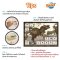 Buki France Dino Mega Egg Maxi Pack รุ่น 2138 กล่องสุ่ม ขุดหาไดโนเสาร์สุดคุ้ม 12 ฟอง