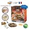 Buki France Dino Mega Egg Maxi Pack รุ่น 2138 กล่องสุ่ม ขุดหาไดโนเสาร์สุดคุ้ม 12 ฟอง