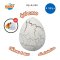 Buki France Magic Egg รุ่น D6G  กล่องสุ่มแช่น้ำ ไข่ไดโนเสาร์