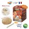 Buki France Dino Eggs รุ่น D6O กล่องสุ่ม ขุดหาไดโนเสาร์