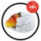 Buki France Magic Egg รุ่น D6G  กล่องสุ่มแช่น้ำ ไข่ไดโนเสาร์