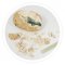 Buki France Dino Eggs รุ่น D6O กล่องสุ่ม ขุดหาไดโนเสาร์