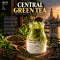 Central Thai Green Tea  The Gentle Charm of Thailand
