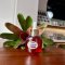 Astaxanthin eye repair