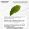 Camellia Sinensis Leaf Extract