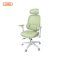 เก้าอี้ทำงานเพื่อสุขภาพ สีเขียว