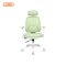 เก้าอี้ทำงานเพื่อสุขภาพ สีเขียว