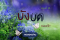 ทดลองอ่าน บังบด : ตอนที่ 25