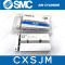 SMC Air cylinder Dual Rod Cylinder/Compact Type CXSJ Series