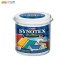 BEGER Synotex RoofPaint ( เฉดสีเขียว ) สีทาหลังคา ชนิดกึ่งเงากึ่งด้าน ขนาด 1 แกลลอน