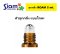 ขวดลูกกลิ้ง ROAM 5 ml. [ราคาต่อโหล]