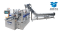 Rotary-Bucket conveyor