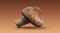 Shiitake Extract (สารสกัดเห็ดหอม)